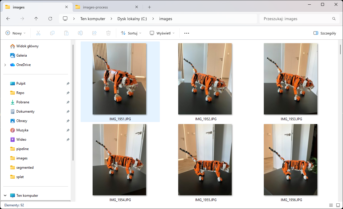 Raw input photographs of the subject